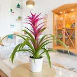 Boho Chic- Beachfront - Free Bikes - Salt Water Pool * Torremolinos