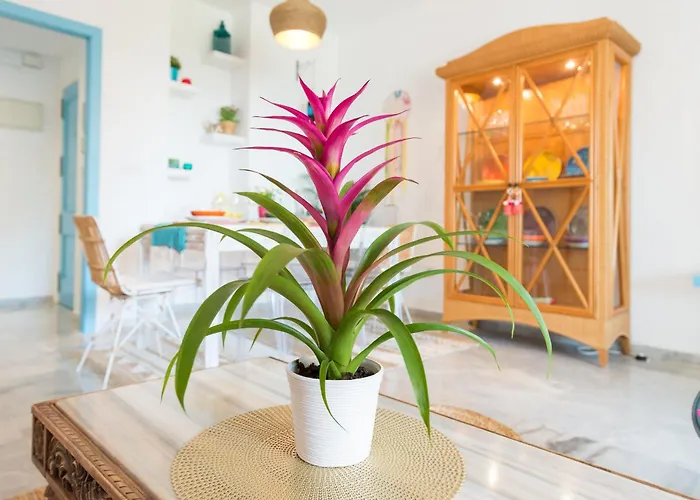 Boho Chic- Beachfront - Free Bikes - Salt Water Pool * Torremolinos